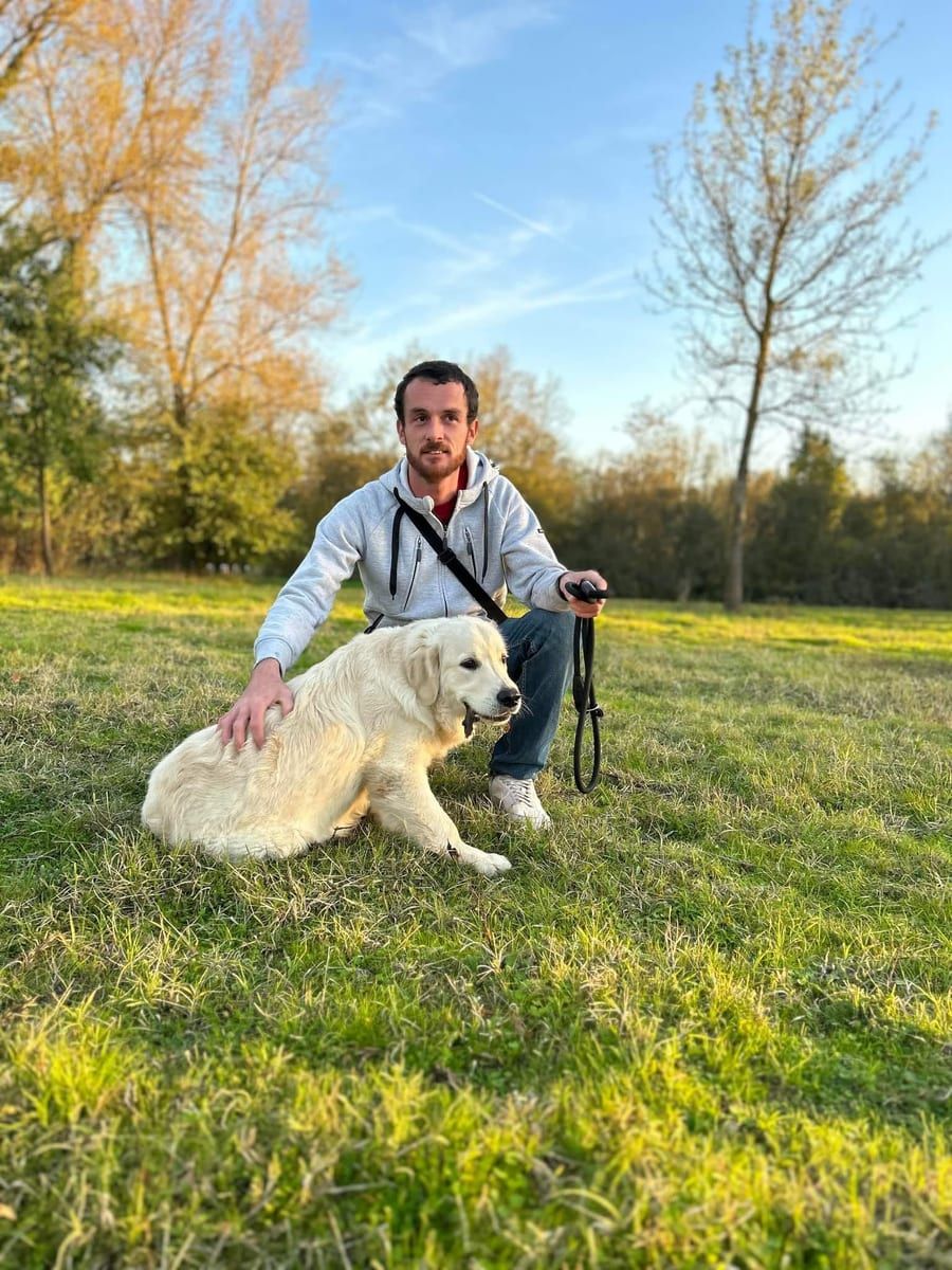 Profil von Shahin